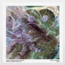Squire, Kieran Fowkes - Hiding with You
