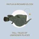 Matija & Richard Elcox - The Last Mountain (Umami Remix)