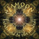 Seamoon - Connecting the Source