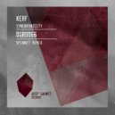 KErf & Spinnet - Synchronicity (Spinnet Remix)