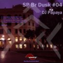 DJ Papaya - Stone Mirror