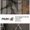 Porno Poltergeist & Pulse Plant - Colour Blind