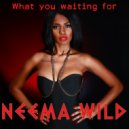 Neema Wild - What You Waiting For (Original mix)