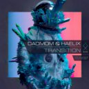 Dadmom & Haelix - Arrival (Original Mix)