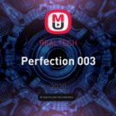 REALTECH - Perfection 003