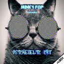 Hunky Fop - Own Style (Original Mix)