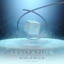 Niblewild - Levitation (Extended Mix)