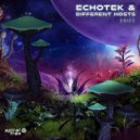 Echotek & Different Hosts - Shift (Original Mix)