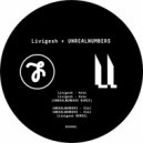 Livigesh & UNREALNUMBERS - Koko (UNREALNUMBERS Remix)