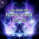 The Witch Doctor - Searching For The Ultimate (Original Mix)