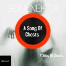 Soulnekta - A Song Of Ghosts