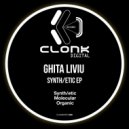 Ghita Liviu - Synth/etic