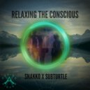 Snakko & Subturtle - Relaxing The Conscious
