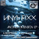 Vinyl Fixx - Another Dimension