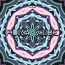 Pura Vibe - Ancestral Vibrations (Original Mix)