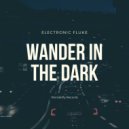 Electronic Fluke - Wander in the dark