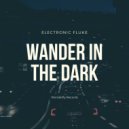 Electronic Fluke - Wander in the dark ()