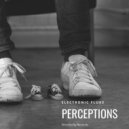 Electronic Fluke - Perceptions