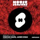 Vinicius Nape - Break It Off (Extended mix)