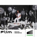 Flim - Positive Imagination (Original Mix)