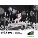 Flim - Positive Imagination