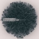 Bernardo Hangar - Rainforest V2 (Original mix)