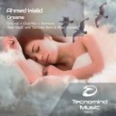 Ahmed Walid - Dreams
