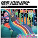 Colour Castle, Birdee, Buried King & Brazen - Wasted Funk