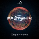 Protonix - Into The Wild