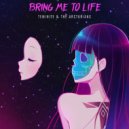 Teminite & The Arcturians - Bring Me To Life