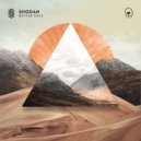Shodan - What Should I Do