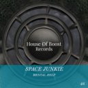 Space Junkie - A New Experience