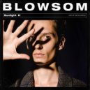 Blowsom - Sunlight
