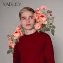 YADLEY - Розы