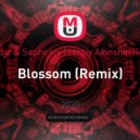 Pavlidiz & Sopheary - Blossom (Sergiy Akinshin Remix)
