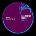 Nellis - Submerged