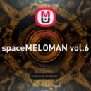 DJ BONG - spaceMELOMAN vol.6