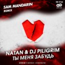 Natan & DJ Piligrim - Ты Меня Забудь