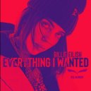 Dj Andi vs. Billie Eilish - Everything I Wanted