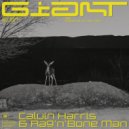 Calvin Harris & Rag\'n\'Bone Man - Giant (NDA remix)