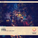 Cairn - Coral