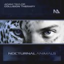 Adam Taylor - Collision Therapy