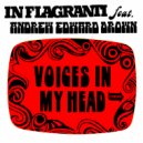 In Flagranti, Andrew Edward Brown - Voices in My Head