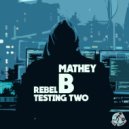 Mathey B - Testing Two