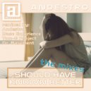 Andestro - Should Have Known Better