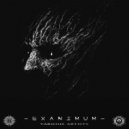 Vdanta & Insane Brothers - Witness Self