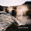 Rianu Keevs - Eternal warmth