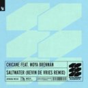 Chicane feat. Moya Brennan - Saltwater