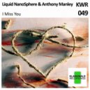 Liquid NanoSphere - I Miss You