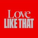Kaskade feat. Dani Poppitt - Love Like That